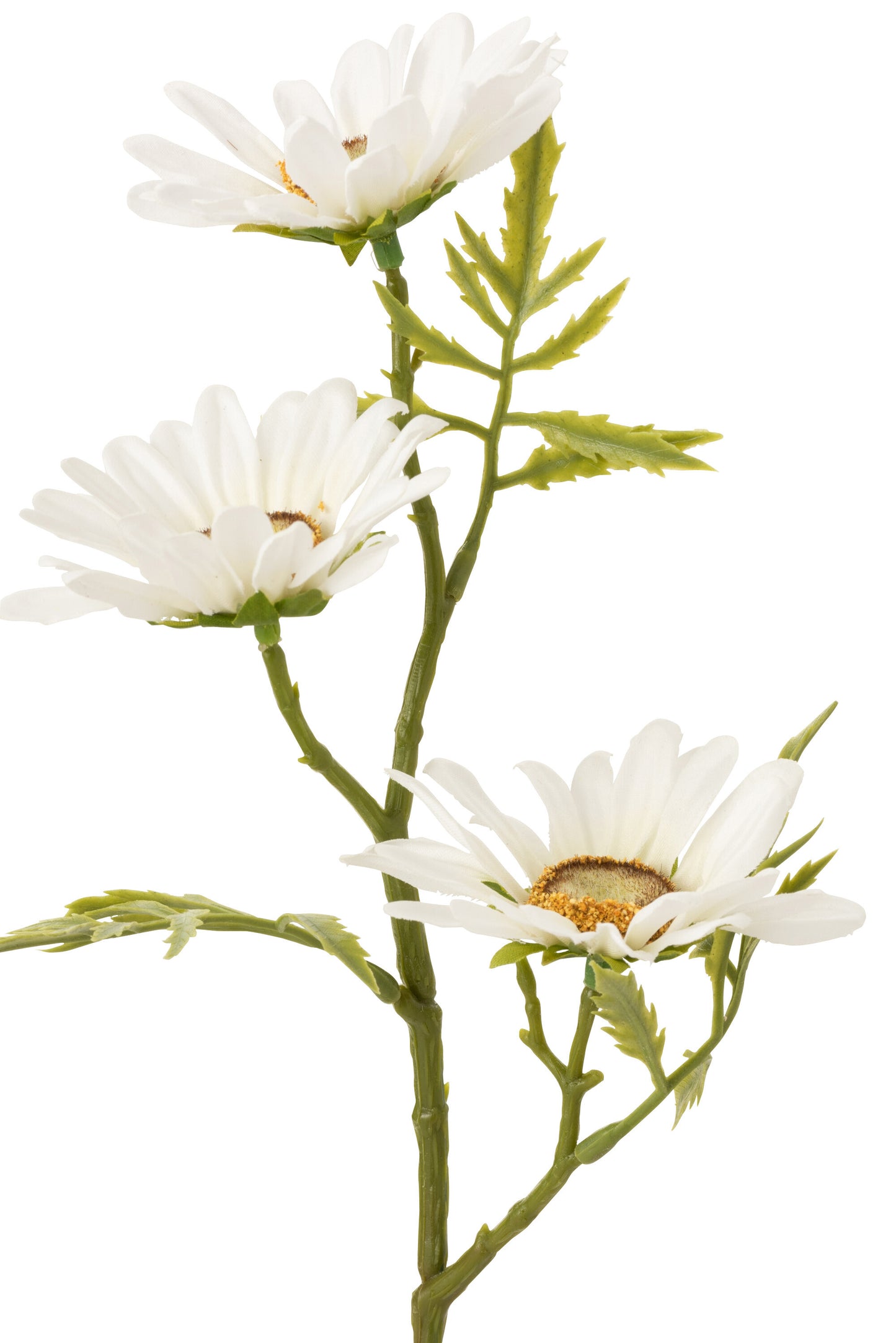 Branche fleur marguerite blanche JLINE