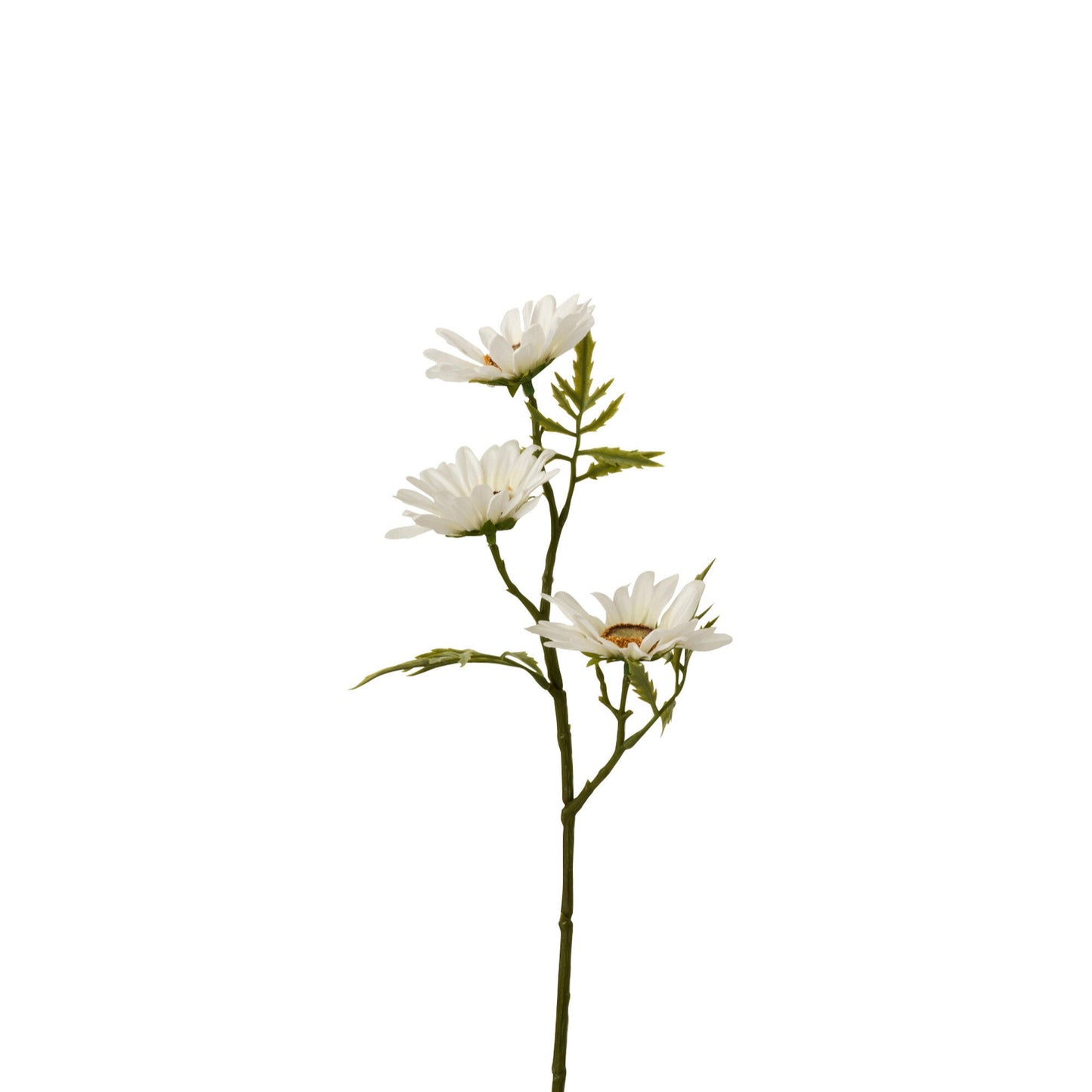 Branche fleur marguerite blanche JLINE