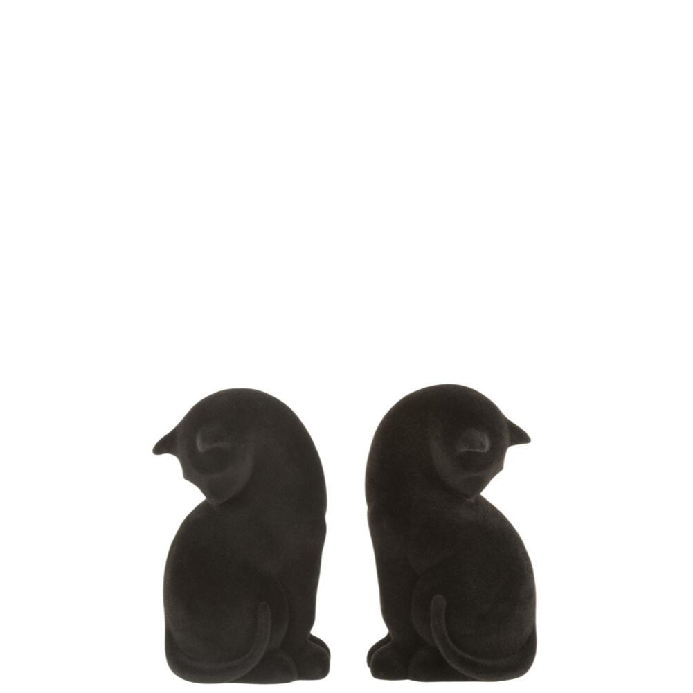 SERRE LIVRE CHAT NOIR x2 JLINE