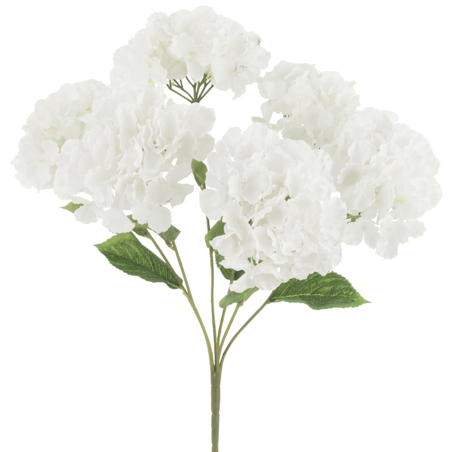 Bouquet hortensia blanc H45 JLINE