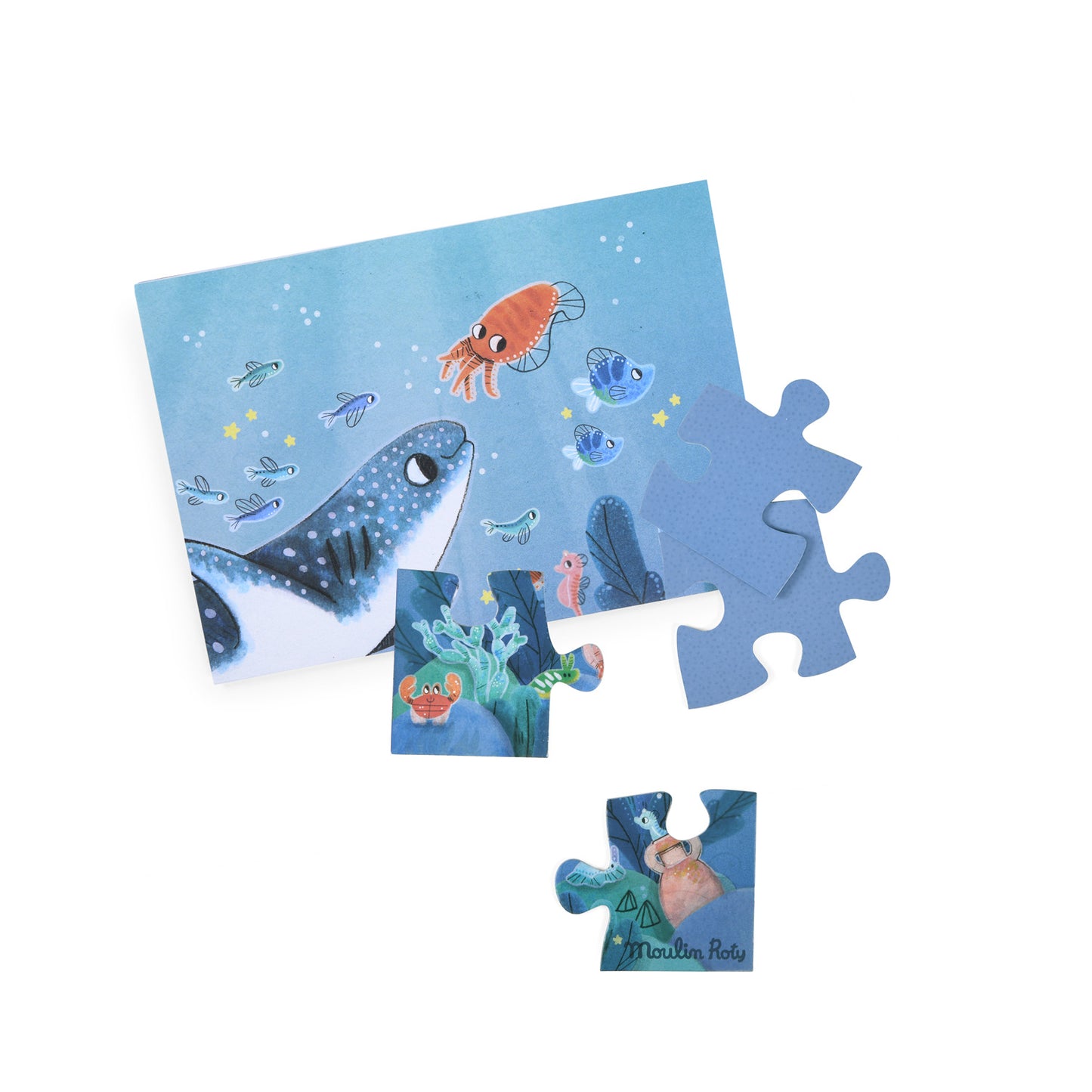 Puzzle phosphorescent MR