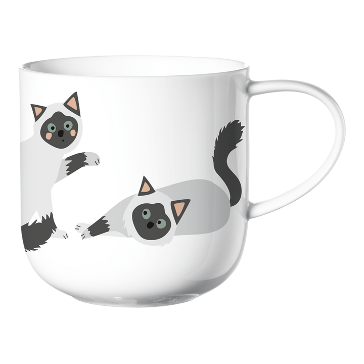 Mug chats ASA