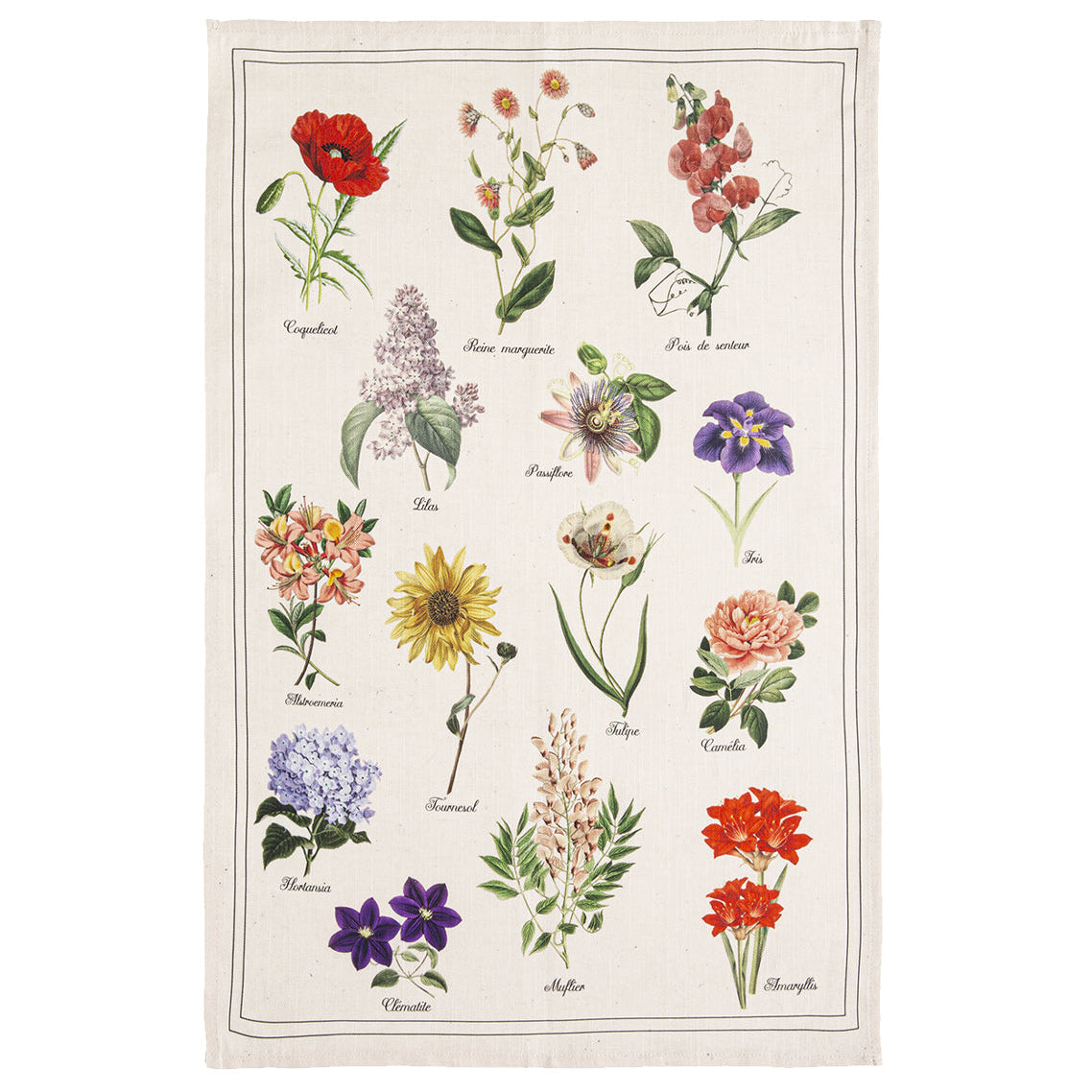 Torchon 50*75 Herbier COUCKE