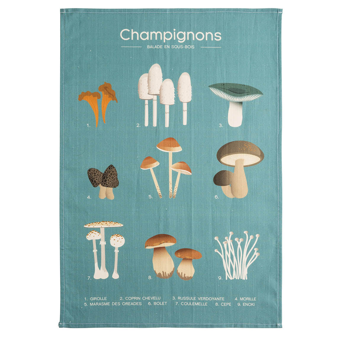 Torchon 50*75 champignons COUCKE
