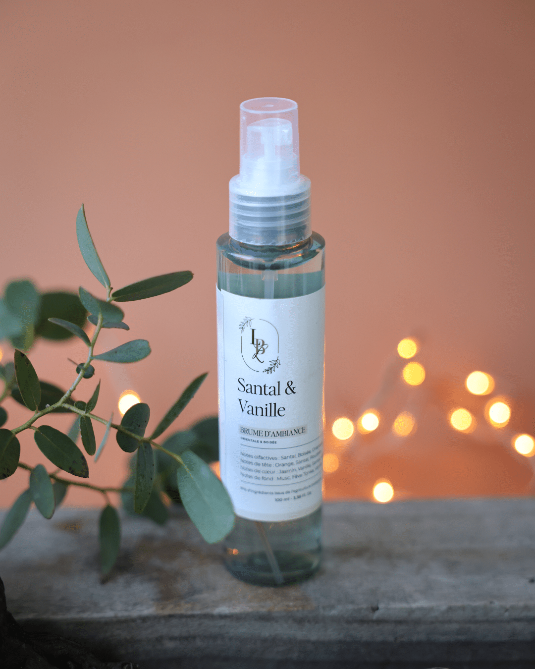 Brume d'ambiance LBL