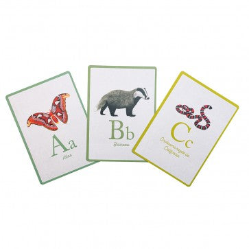 Cartes abécédaire MR