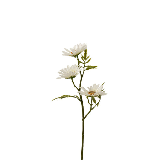 Branche fleur marguerite blanche JLINE