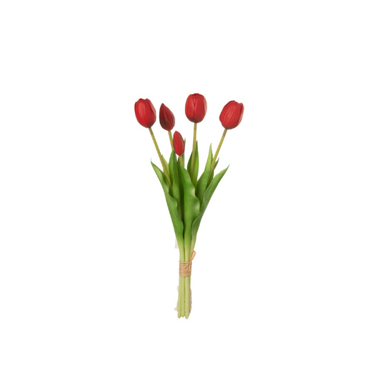 Bouquet tulipe rouge x5 H40 JLINE