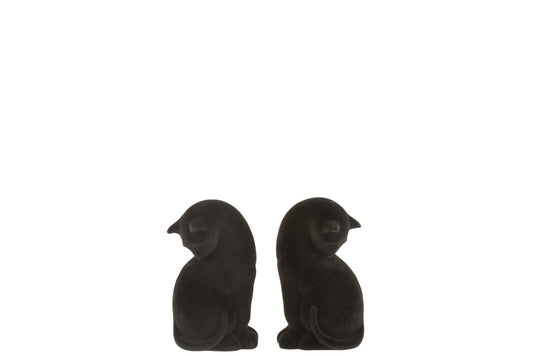 SERRE LIVRE CHAT NOIR x2 JLINE