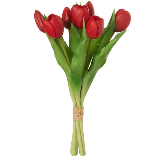 Bouquet tulipe rouge x7 H31.5 JLINE