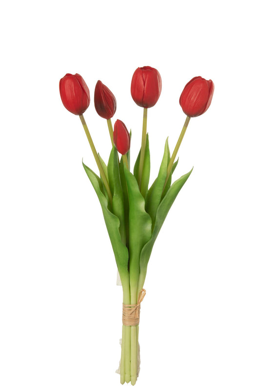 Bouquet tulipe rouge x5 H40 JLINE