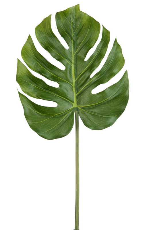Branche feuille Philo JLINE
