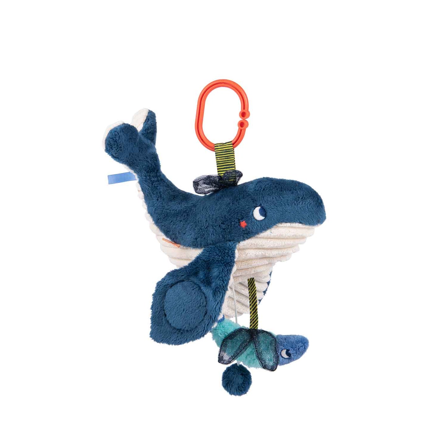 Baleine musicale MR