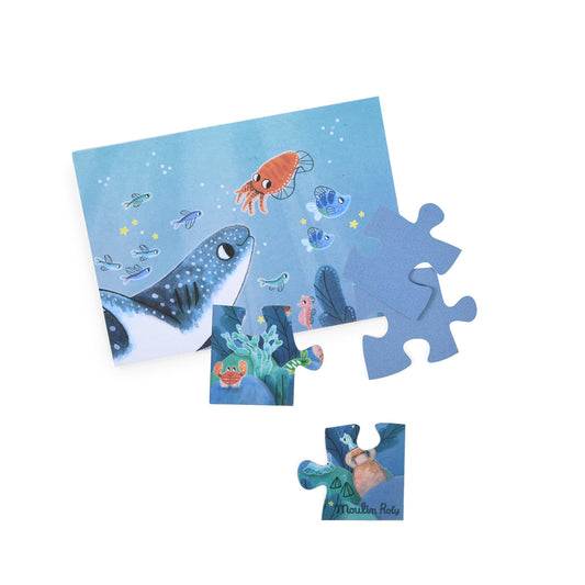Puzzle phosphorescent MR