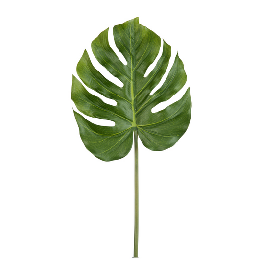 Branche feuille Philo JLINE