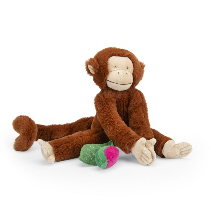 Singe d’activité à suspendre - La Forêt de Mawa MR