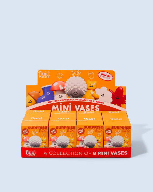 Vase Mini box surprise FLUID MARKET