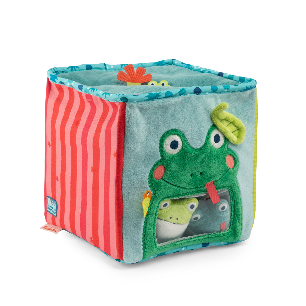 Cubes d'activités La mare aux grenouilles MR