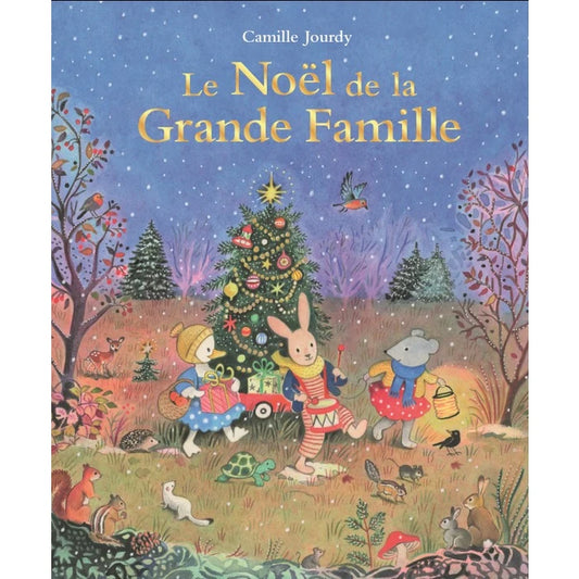 Livre Le Noël de la grande famille MR