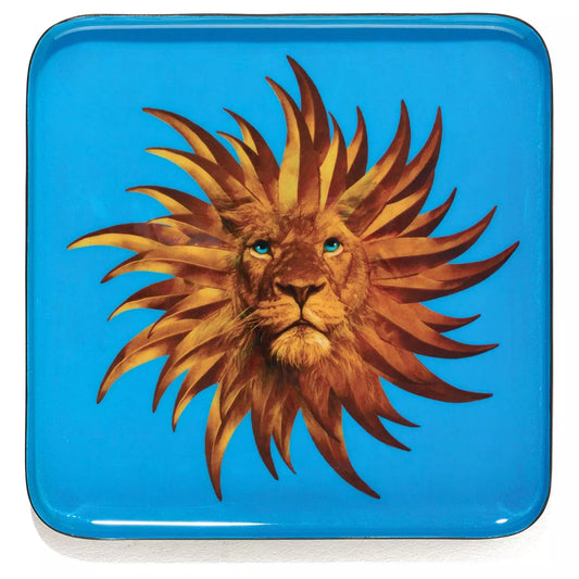 vide-poche Solarking GANGZAÏ
