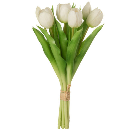 Bouquet tulipe blanche x7 H31.5 JLINE